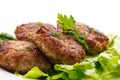 Fried meatballs with herbs Royalty Free Stock Photo