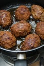 Fried meatballs Royalty Free Stock Photo