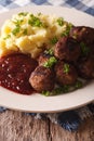 fried meatballs, lingonberry sauce with potato garnish close-up. Vertical Royalty Free Stock Photo