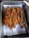 fried milkfish on white paper Royalty Free Stock Photo