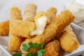 Fried mozzarella cheese sticks