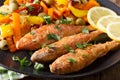 Fried mullet with stewed vegetables and lemon close-up. horizontal