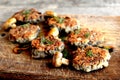 Fried mushroom cutlets decorated with dill on a wooden background Royalty Free Stock Photo