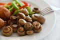 Fried mushrooms and a vegetables on plate Royalty Free Stock Photo