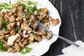 Fried mushrooms with vegetables on a plate Royalty Free Stock Photo