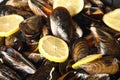Fried mussels