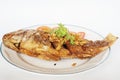 Fried Nile tilapia river fish Royalty Free Stock Photo