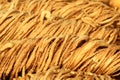 Fried noodles Royalty Free Stock Photo
