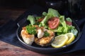 fried northern pike steaks with lemon, lettuce salad and tomatoes on a black plate, healthy low carb meal on a dark wooden Royalty Free Stock Photo