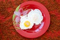 Fried omelet on a red plate Royalty Free Stock Photo