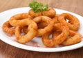 Fried onion rings Royalty Free Stock Photo