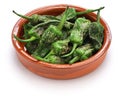 Fried padron peppers, spanish food