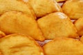 Fried PANZEROTTI and bread Royalty Free Stock Photo
