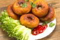 Fried patty on a plate with greens and ketchup Royalty Free Stock Photo