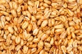 Fried peanut kernels Royalty Free Stock Photo