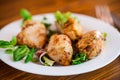 Fried pieces of chicken fillet breaded with spices and herbs in a plate . Royalty Free Stock Photo