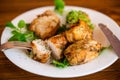 Fried pieces of chicken fillet breaded with spices and herbs in a plate Royalty Free Stock Photo