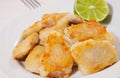 Fried pieces of fish fillets Royalty Free Stock Photo