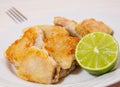 Fried pieces of fish fillets Royalty Free Stock Photo