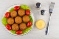 Fried pies with meat on lettuce, tomatoes, salt, pepper, mayonnaise Royalty Free Stock Photo