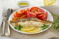 Fried plaice with lemon, parsley and salad Royalty Free Stock Photo