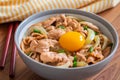 Fried pork with egg and rice in bowl. Japanese food style, Donburi Royalty Free Stock Photo