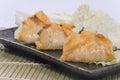 Fried pork gyoza dumplings