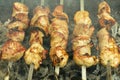 Fried pork meat, shish kebabs, cooked on charcoal grill Royalty Free Stock Photo