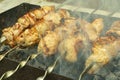 Fried pork meat, shish kebabs, cooked on charcoal grill