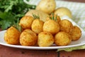 Fried potato balls (croquettes)