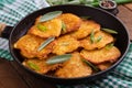 Fried potato pancakes in a frying pan Royalty Free Stock Photo