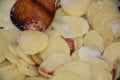 Fried potatoes, Royalty Free Stock Photo