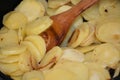 Fried potatoes, Royalty Free Stock Photo