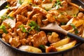 Fried potatoes with mushrooms chanterelles close-up in a frying pan. horizontal Royalty Free Stock Photo