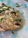 Fried predatory fish on a plate. Large piranha teeth.