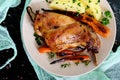 Fried rabbit leg, garnish of boiled potatoes, grilled carrots - on a plate Royalty Free Stock Photo