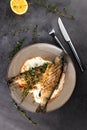 Fried rainbow trout fish with lemon sauce and thyme on black marble table as background. Top view Royalty Free Stock Photo