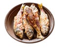 Fried red mullet fishes on plate cut out on white Royalty Free Stock Photo