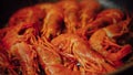 Fried red shrimps with hot oil on pan Royalty Free Stock Photo