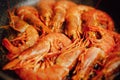 Fried red shrimps with hot oil on pan Royalty Free Stock Photo