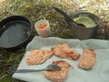 Fried red trout fish fillet of freshly caught arctic char with with mashed potatoes and ripe cloudberries with outdoor Royalty Free Stock Photo