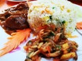 Fried rice, chicken curry & salad