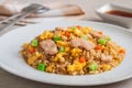 Fried rice chicken with egg and vegetables on white plate Royalty Free Stock Photo