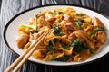 Fried rice noodles with chicken, Chinese broccoli and egg close-up on a plate. horizontal Royalty Free Stock Photo