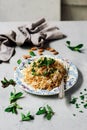FRIED RICE WITH VERMICELLE.traditional arabic dish Royalty Free Stock Photo
