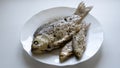 Fried river fish on white plate Royalty Free Stock Photo