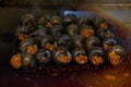 Fried river snails with seasoning and flavor additives in a special frying pan. Royalty Free Stock Photo