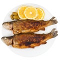 Fried river trout fish on white background