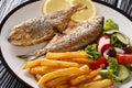 Fried Salema porgy fish with lemon and side dish of fresh vegetable salad close-up on a plate. horizontal Royalty Free Stock Photo