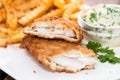Fried Salmon Filet with Chips Royalty Free Stock Photo